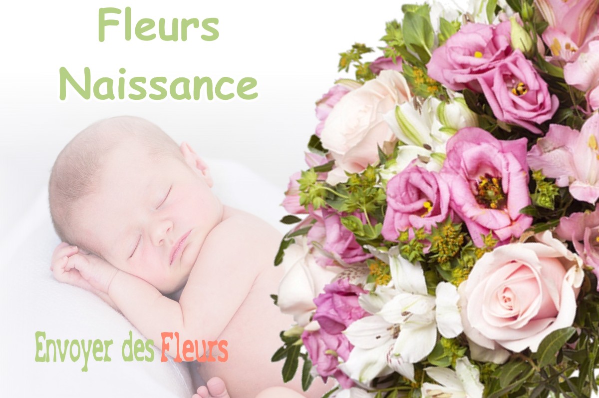 lIVRAISON FLEURS NAISSANCE à BARESIA-SUR-L-AIN